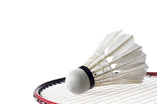 在季后赛这 在季后赛这